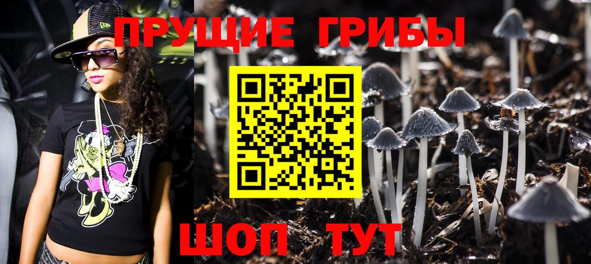 Свободный  Галлюциногенные грибы мицелий  Вход с VPN 